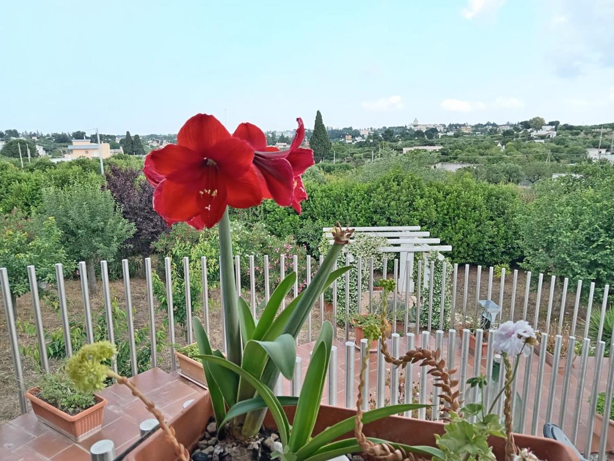 Casa Mastronardi Bed & Breakfast กัสเตลลานา กรอตเต ภายนอก รูปภาพ